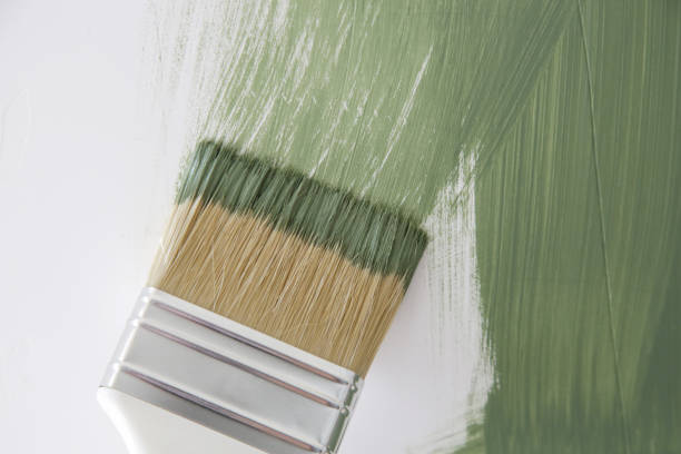  Amelia, LA Mold Removal Pros