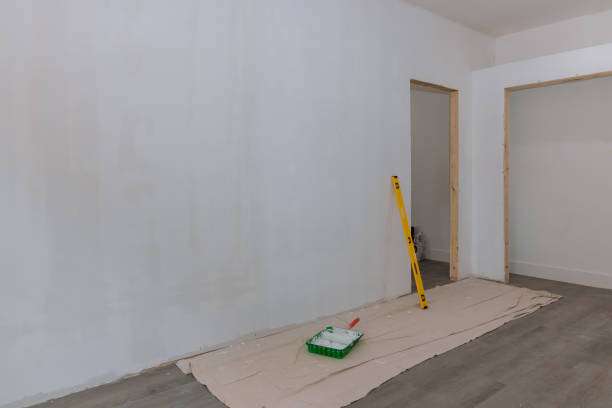 Best Crawl Space Mold Remediation  in Amelia, LA