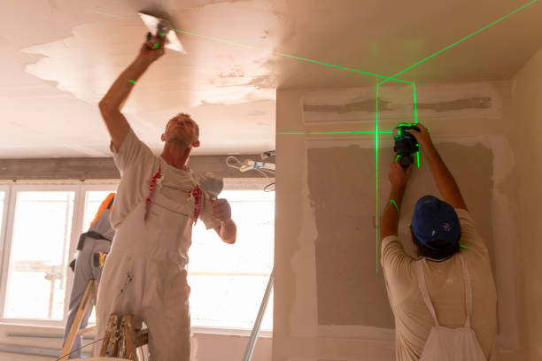 Best Post-Construction Mold Inspection  in Amelia, LA