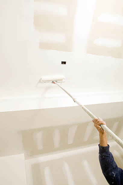 Best Environmental Consulting for Mold Prevention  in Amelia, LA