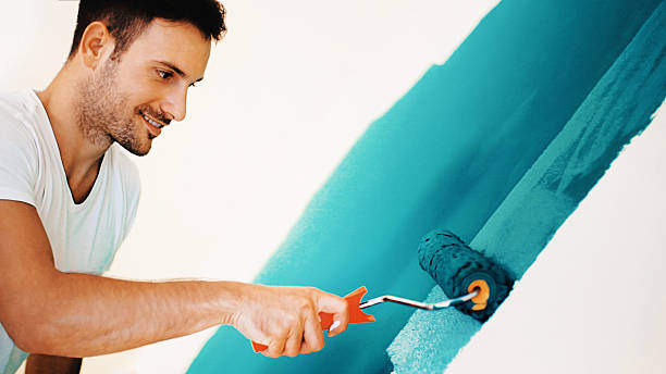 Best Water Damage & Mold Remediation  in Amelia, LA